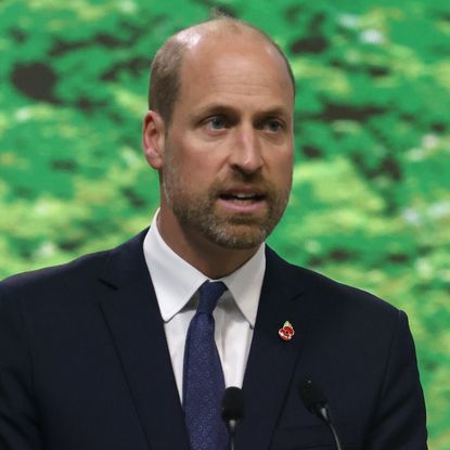 Prince William at the Opening of the General Plenary of Leaders during the United Nations Climate Change Conference COP 30 in Brazil, on November 7, 2025