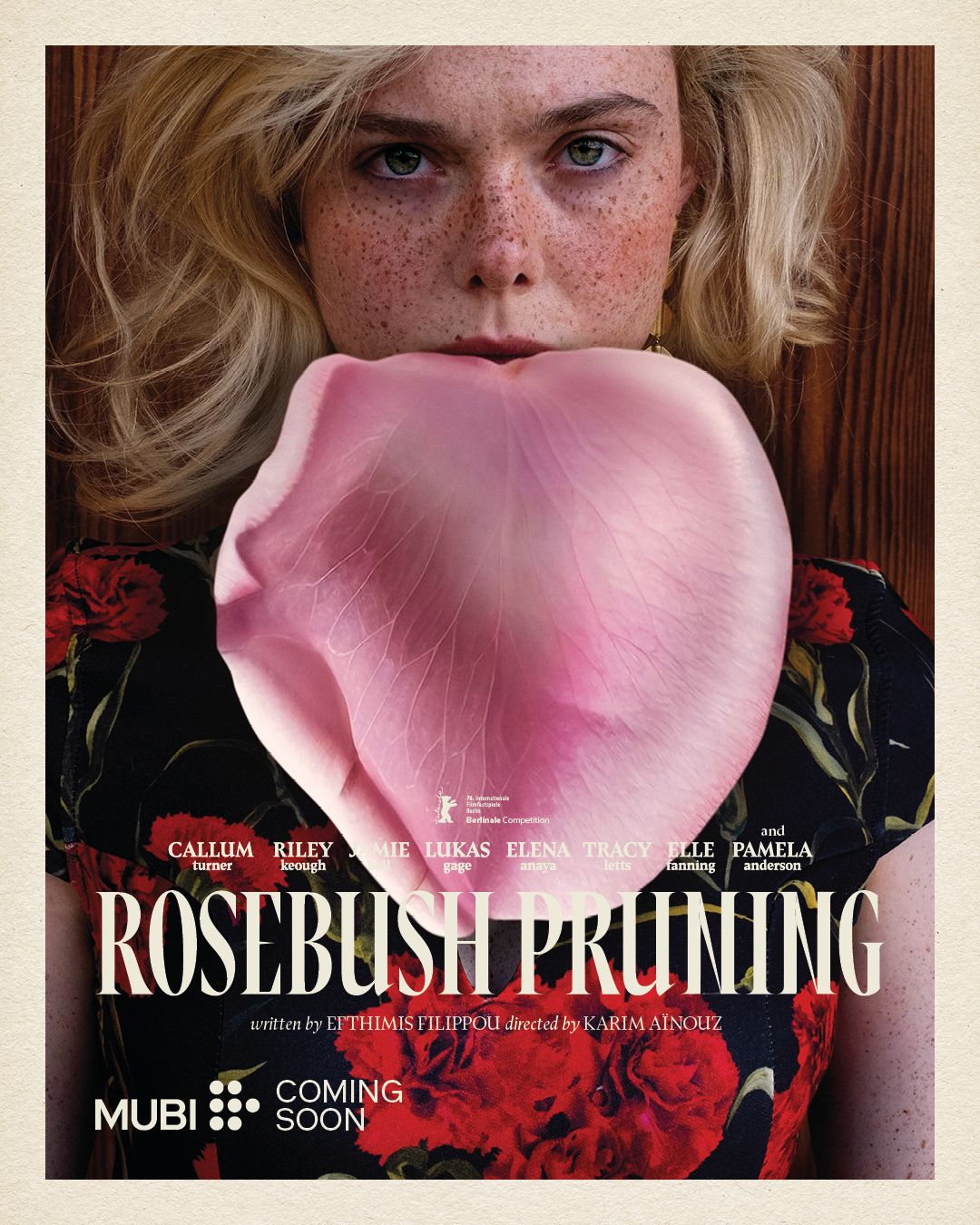 Rosebush Pruning posters.
