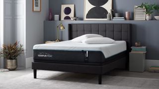 Best Tempur-Pedic mattress sales and deals: the Tempur-Pedic Tempur-Adapt Mattress shown on a dark grey fabric bed frame in a white and blue bedroom