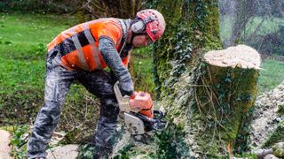 Man chainsawing wearing safety gear