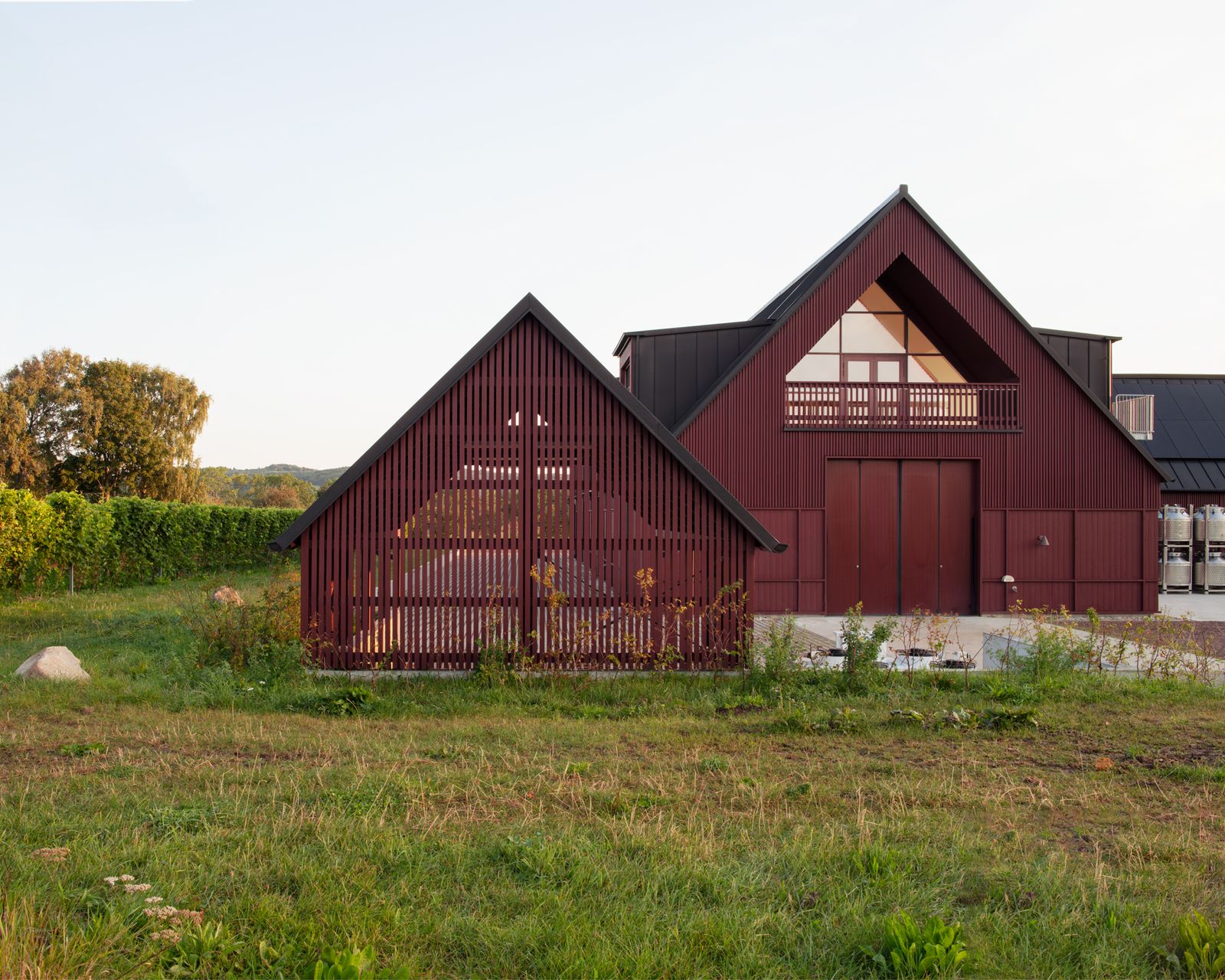 Kullabergs Vingård is putting Swedish wine-making on the map | Wallpaper*