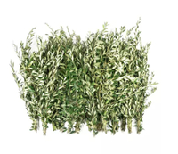 Fresh Olive Branches (200 Stems) for $99.98, at Sam's Club