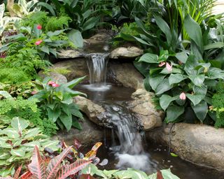waterfall with stones and plants