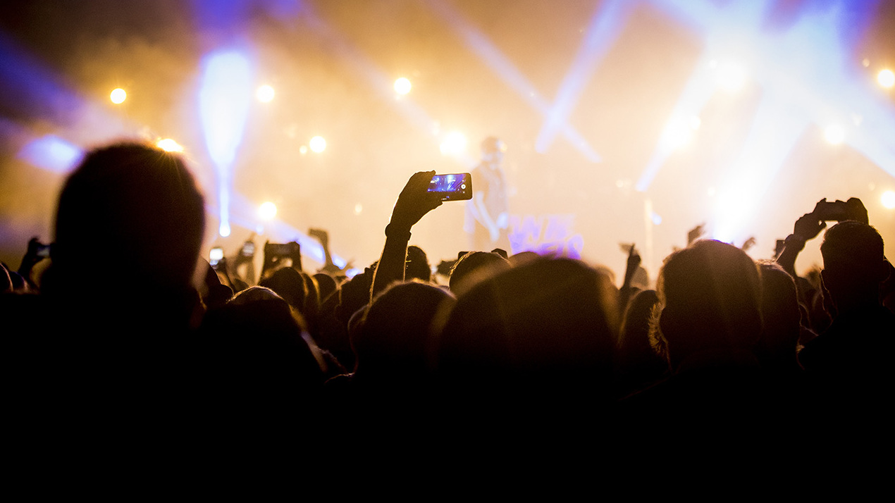 Concert crowd