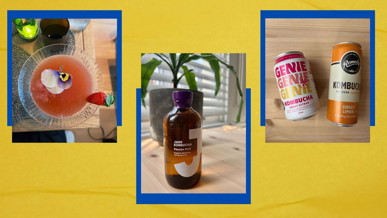 A selection of kombucha on yellow background with blue accents, to show how often should you drink kombucha