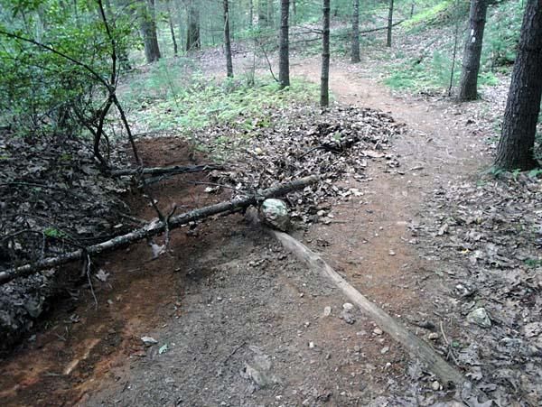 On this section of trail, volunteers worked on drainage