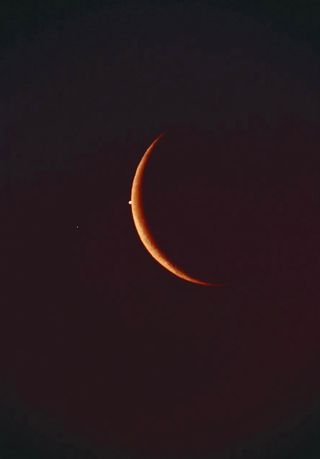 Venus, crescent moon