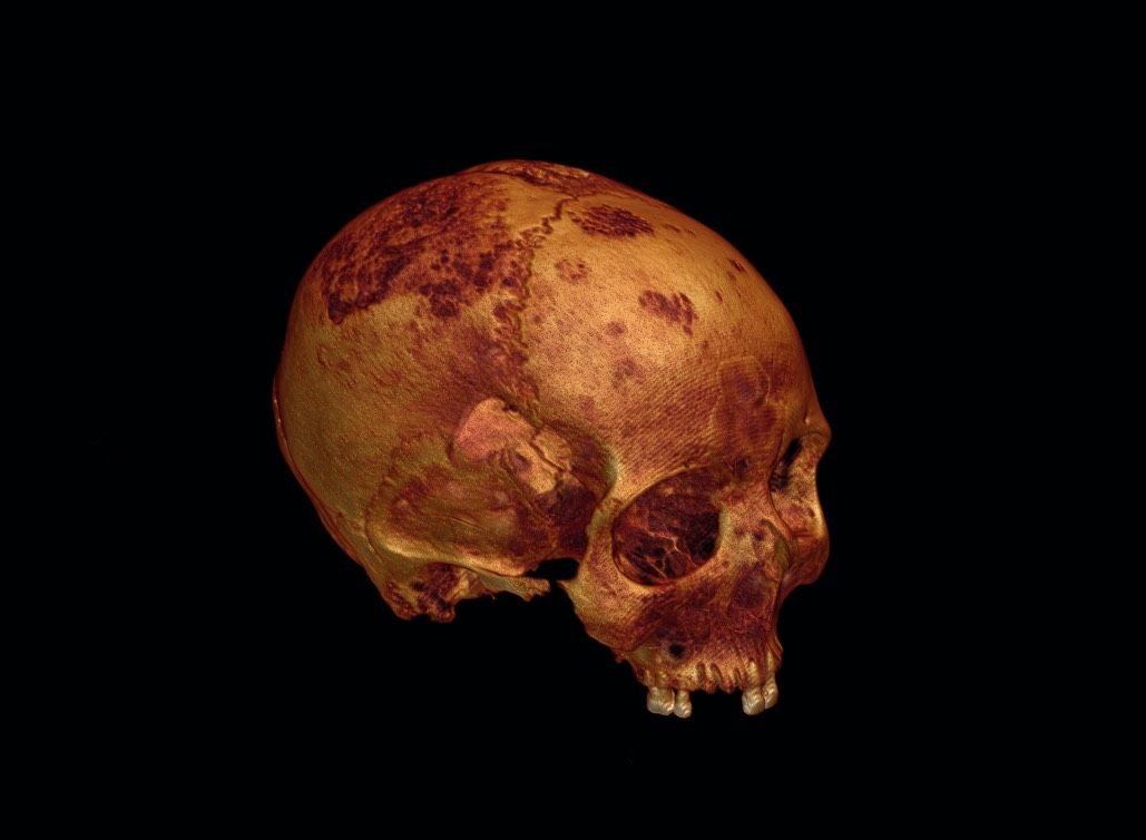 A rendering of the ancient skull created from CT scans.