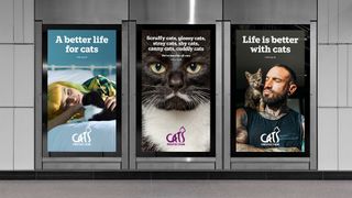 Cats Protection rebrand