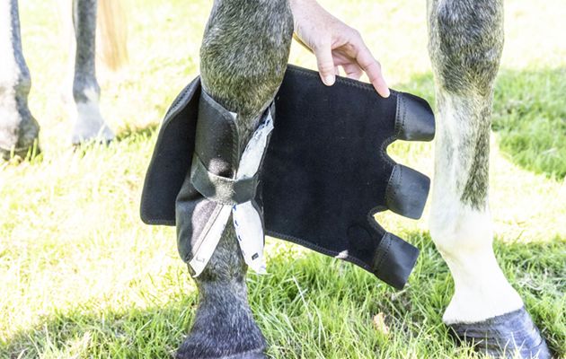 Icehorse Tendon Wraps review