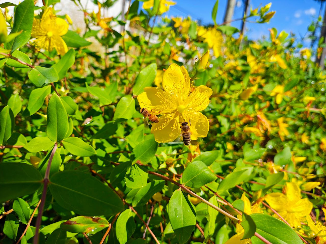 Motorola Razr Plus 2024 camera image samples
