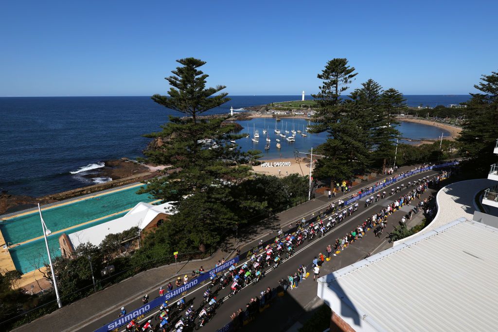 The men's elite race at the Wollongong 2022 UCI Road World Championships Sunday 25th September