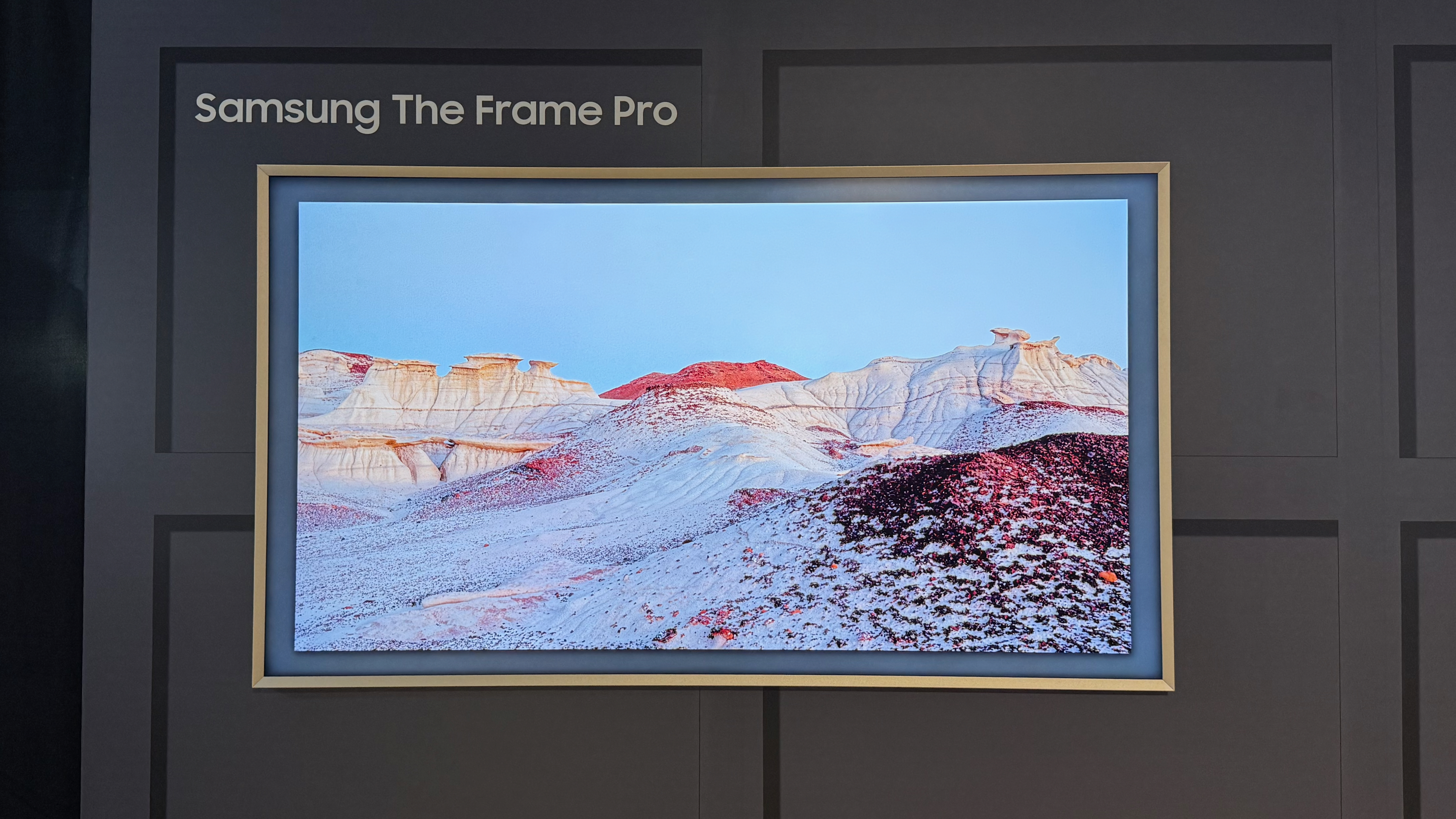 Samsung Frame Pro Hands-On