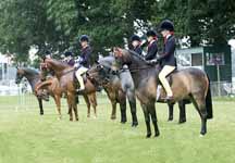showponieswithgrass1.jpg