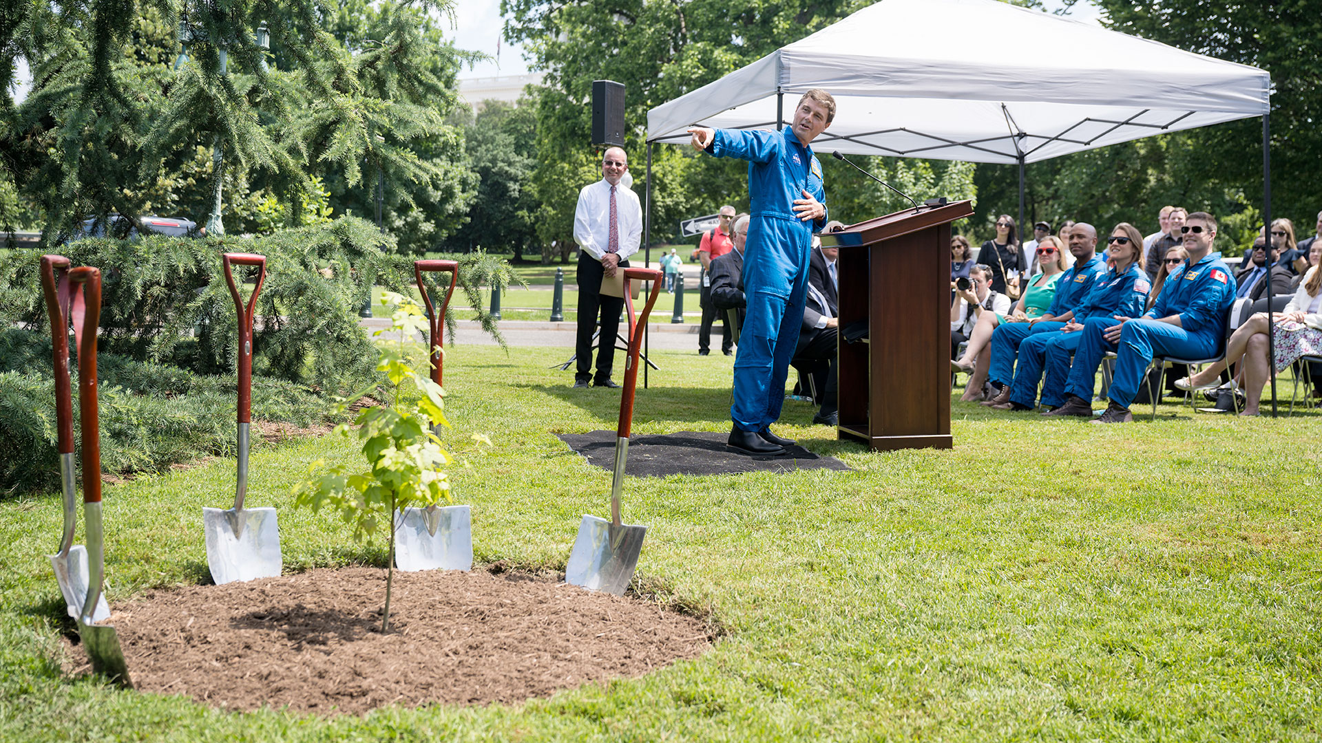 ‘Most unique tree here:’ Artemis Moon Tree planted at US Capitol Space