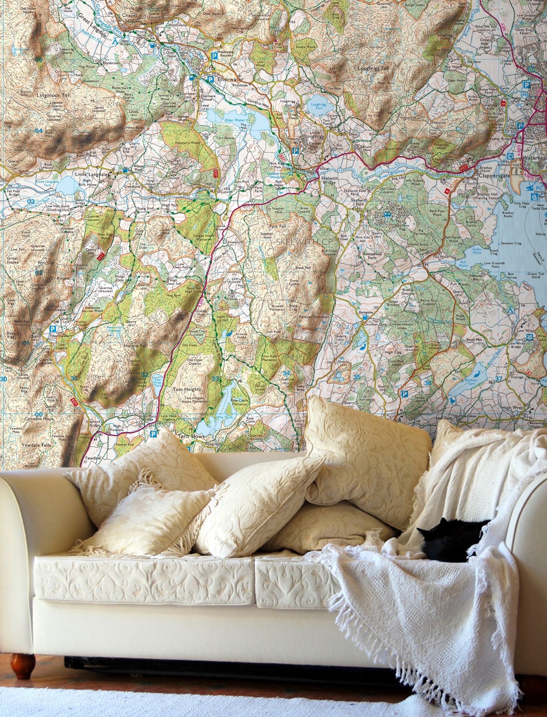 Thingwall Map Trending: The Best World Map Murals and Map Wallpapers