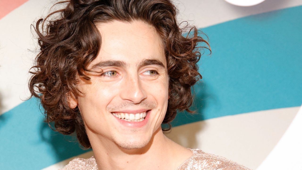 Timothee Chalamet on the Wonka press tour