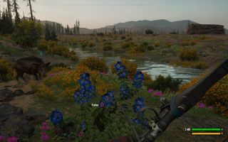 Get Friendly with Nature