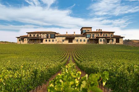 The Pata Negra winery &ndash; a building and some vines