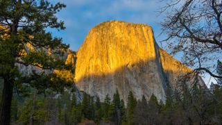 El Capitan, Yosemite National Park, in golden evening light
