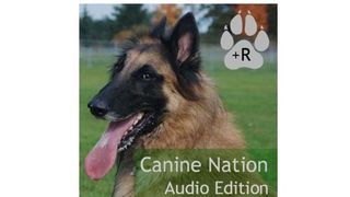 Best podcasts: Canine Nation