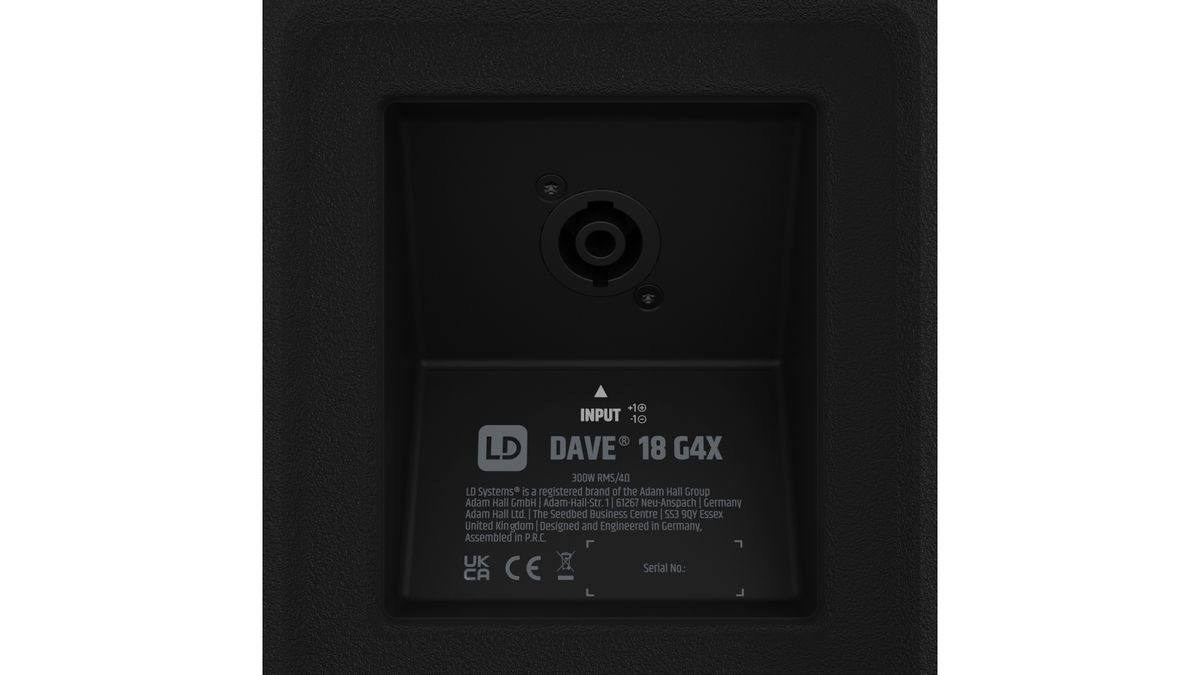 LD Systems Dave 18 G4X