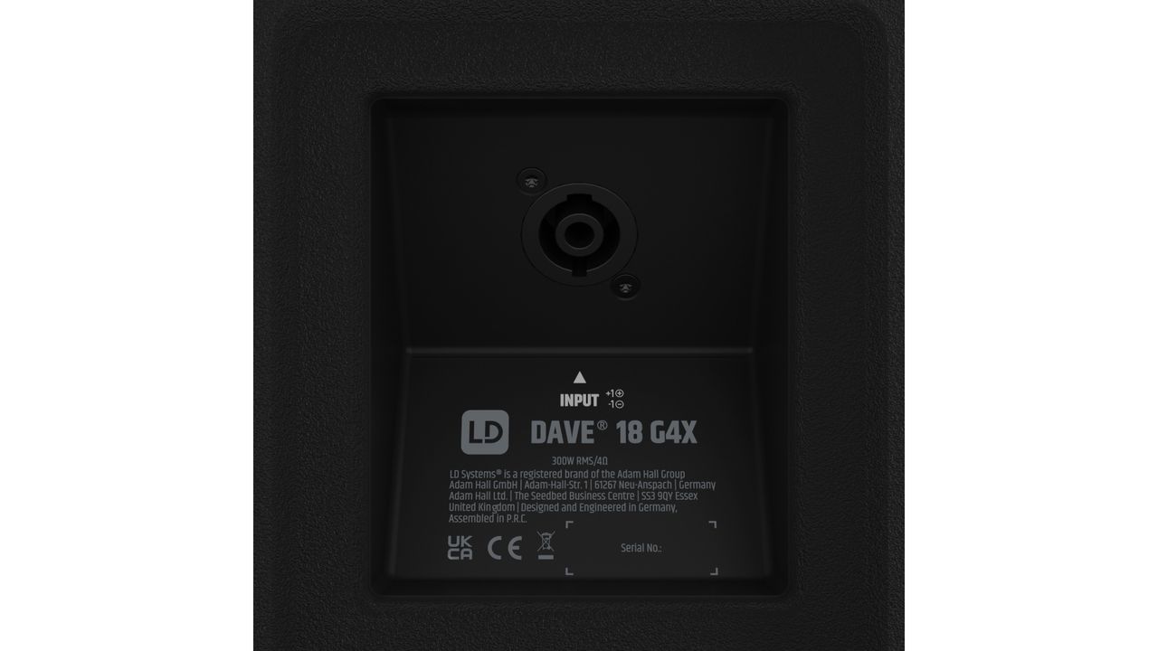 LD Systems Dave 18 G4X