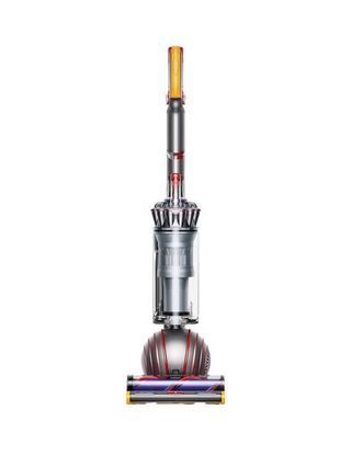 Dyson Ball Animal 2 vacuum cleaner