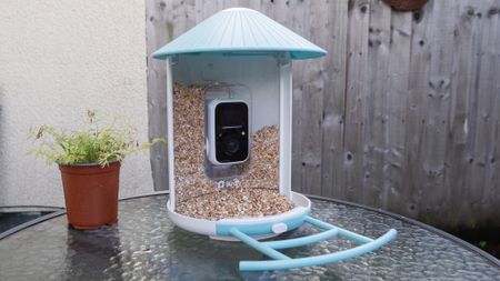 A Netvue Birdfy Feeder AI smart bird feeder