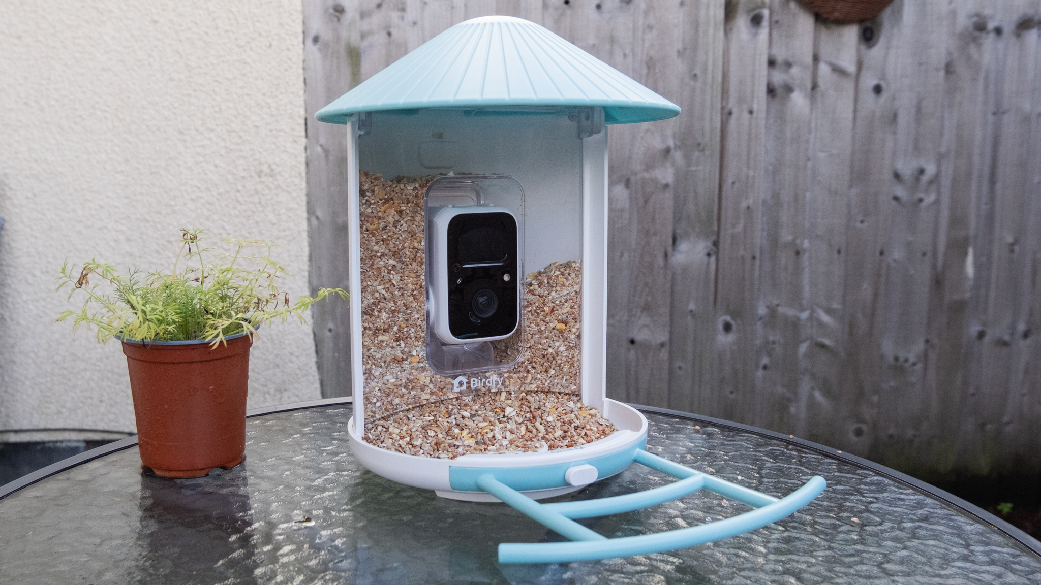 A Netvue Birdfy Feeder AI smart bird feeder