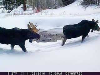 browning-trail-camera-lifestyle