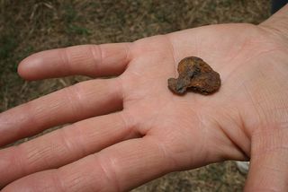 An iron clothing hook was among Spanish artifacts found at the site.
