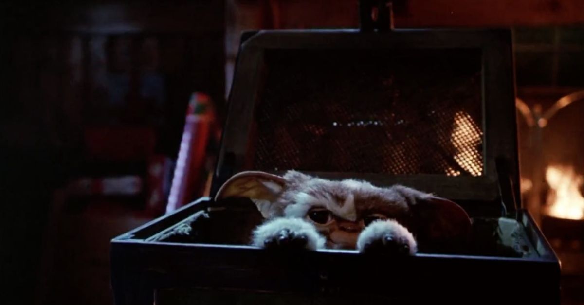 Gizmo the Mogwai in &#039;Gremlins&#039;