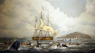 British whaling ships hunting sperm whales in the South Seas.