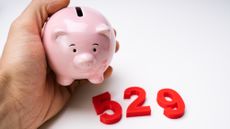 Person's hand holding a pink small piggy bank next to large red numbers that spell out 529