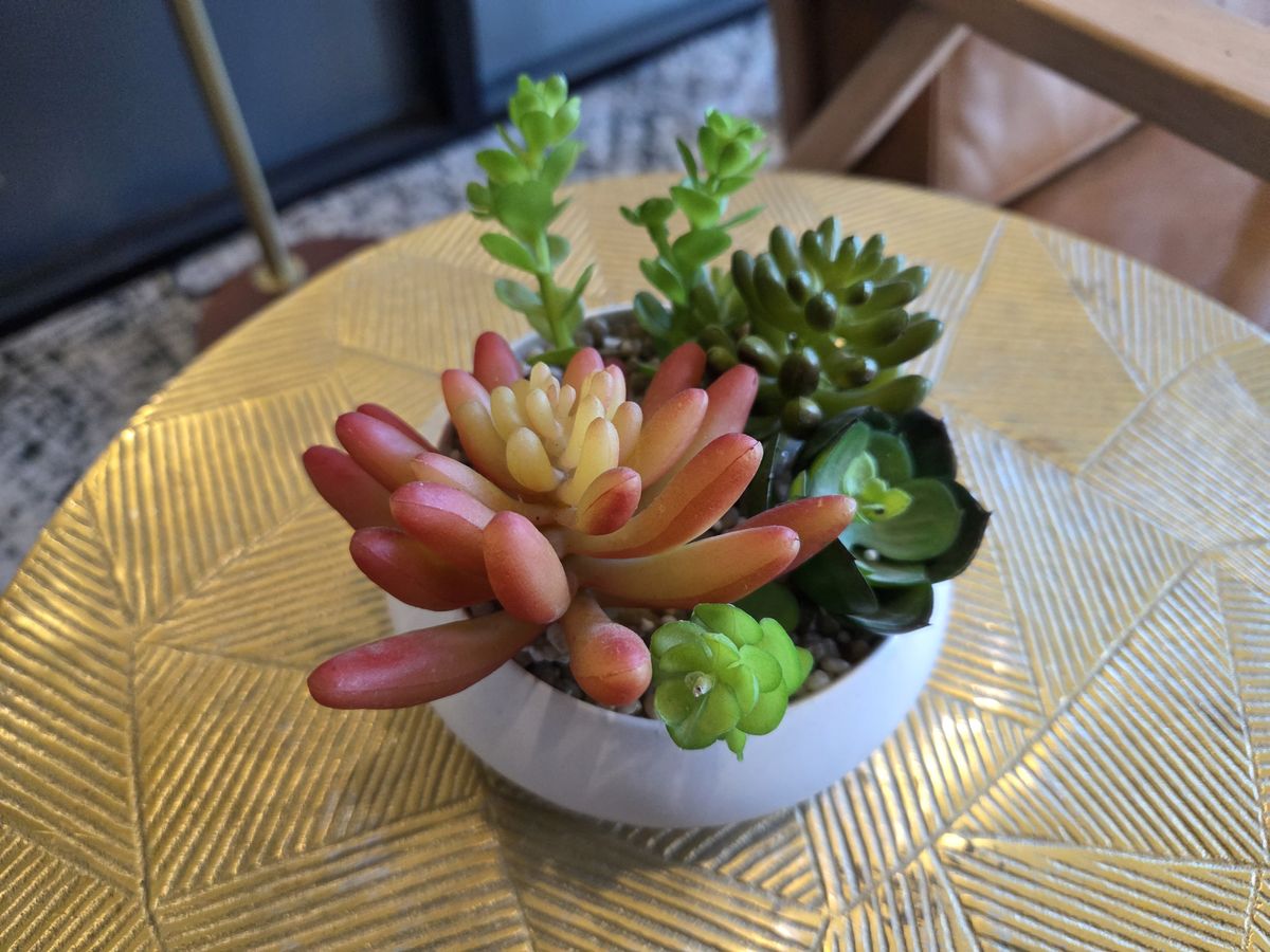 Fake plants in a bowl