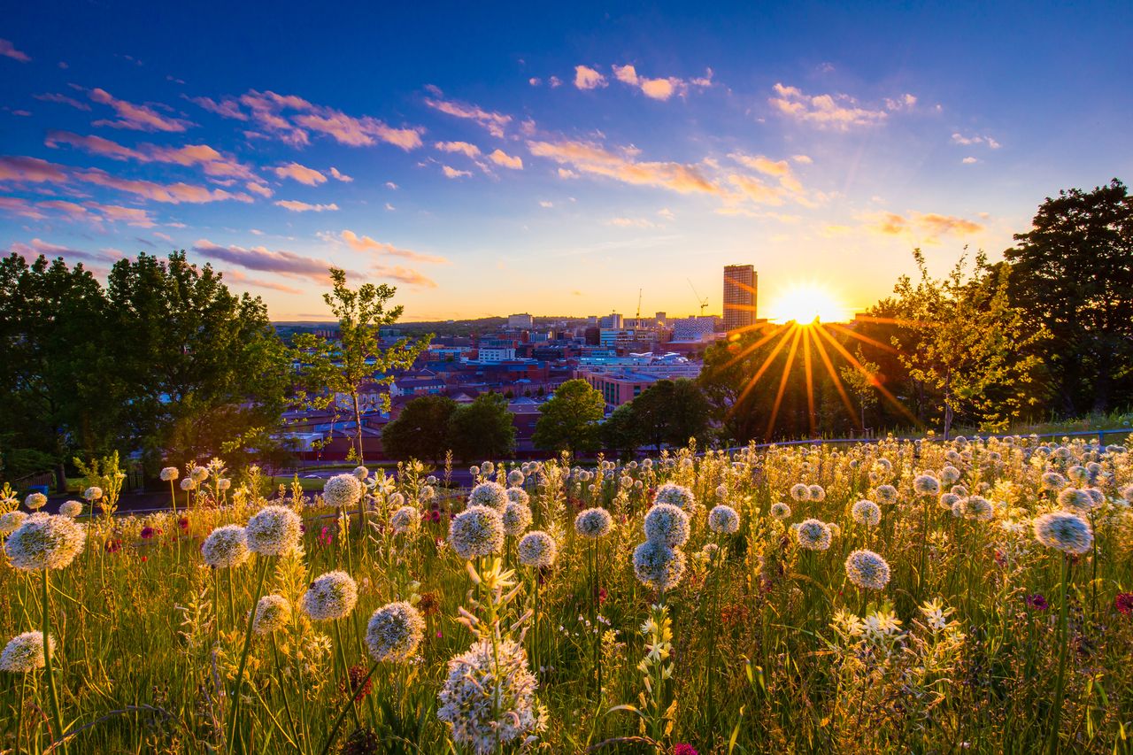 Sheffield skyline