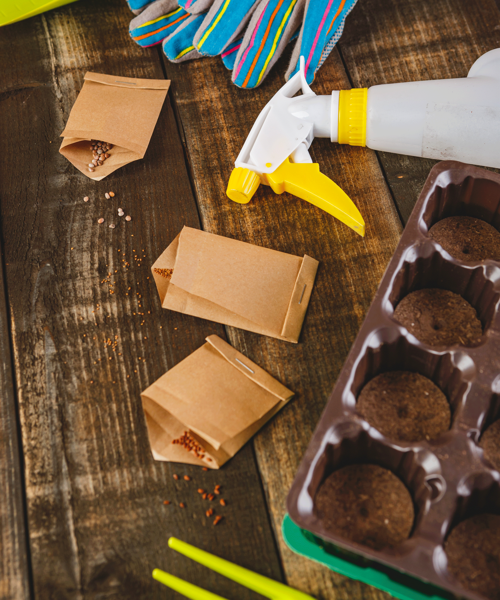 seeds in envelopes and being planted in pots