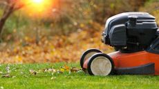Mowing a lawn in fall