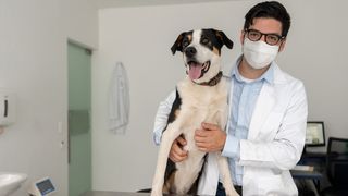 pet emergency