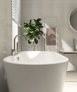 Bathroom with white bath and chrome taps and fiddle leaf fig in the corner by the window