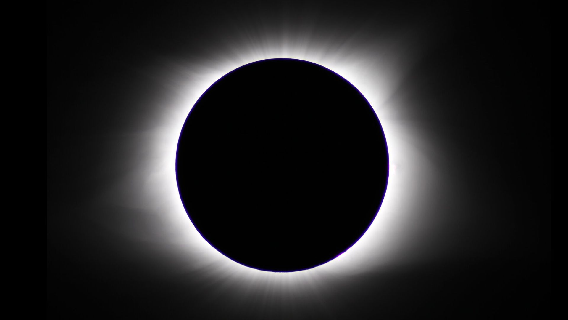 Terraria solar eclipse remix фото 109