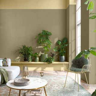 living space painted in dulux lush palette with houseplants