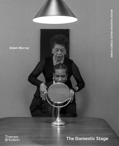 Book cover of The Domestic Stage by Adam Murray