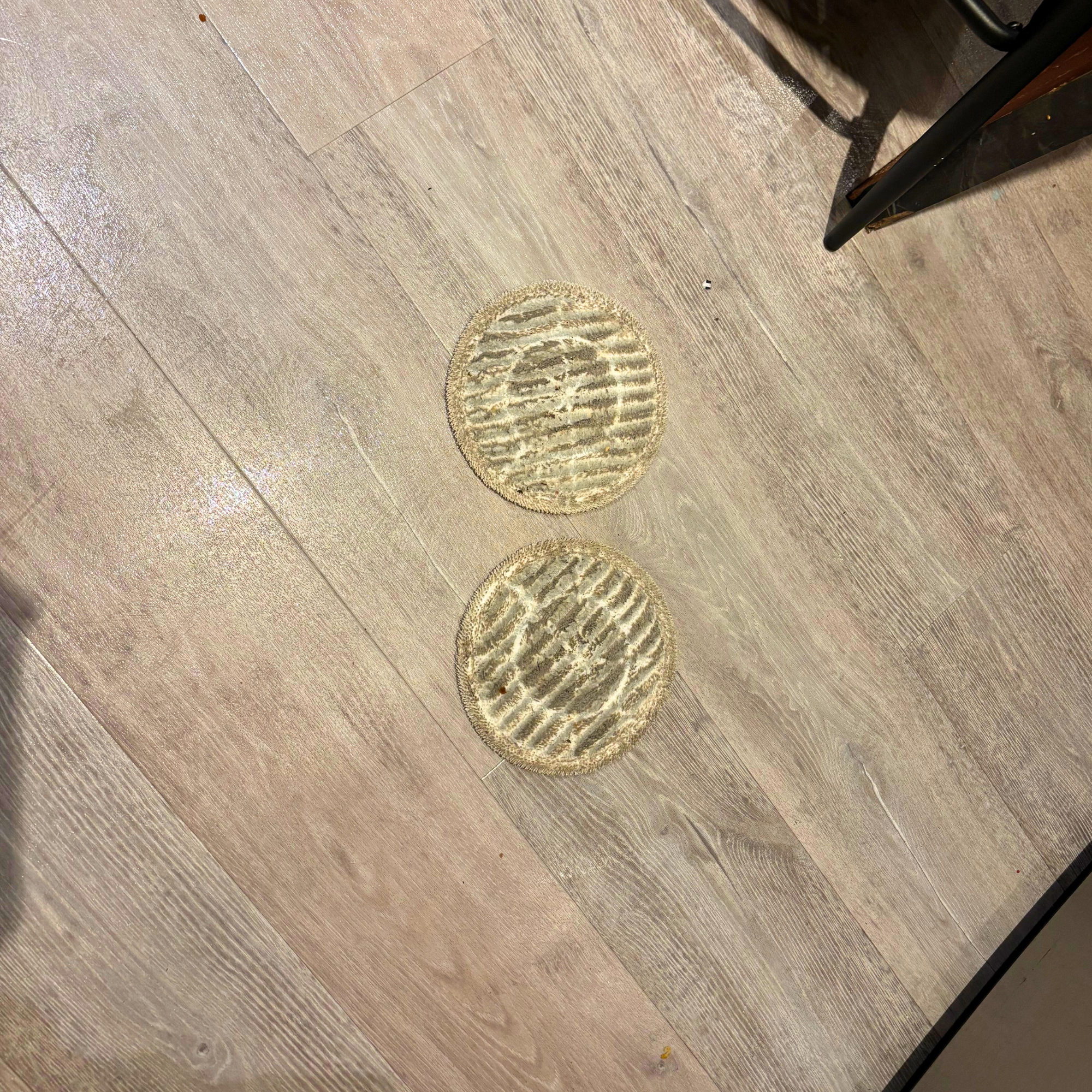 Dirty dual mop pads lay face up on laminate flooring