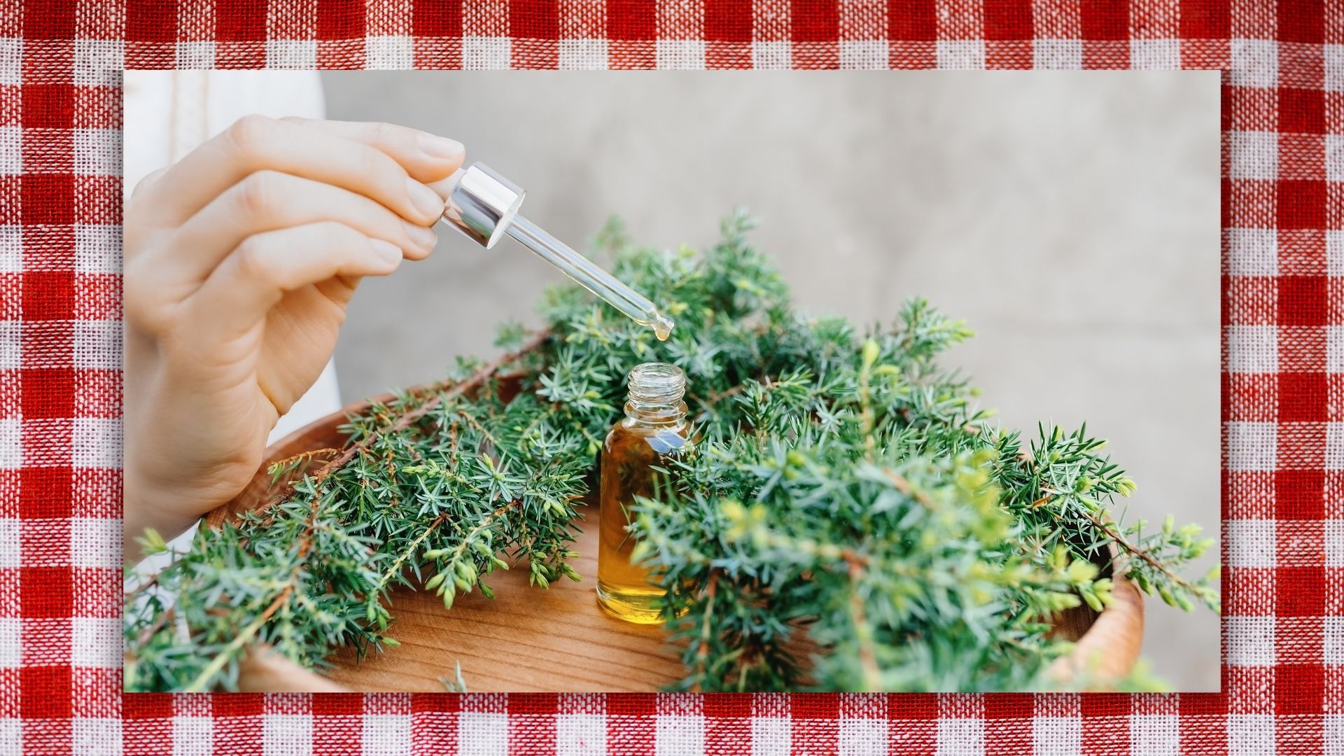 A bottle of essential oils surrounded by greenery with a woman's hand holding the pipet on red tartan cloth background