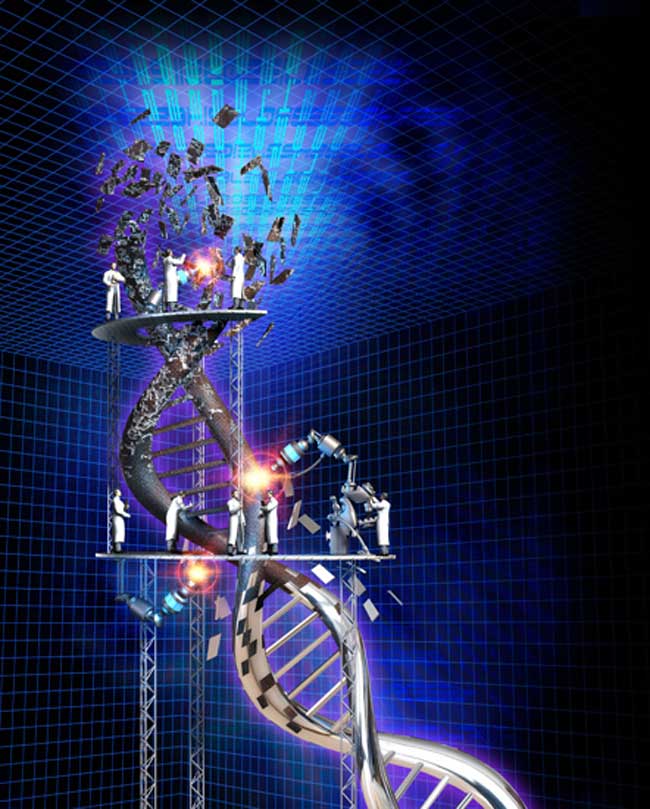 A strand of DNA, is modeled and rendered in 3D software to show how DNA is being modified and corrected. The rough, rusty metal is at the top and it's being chrome-plated as you go down and manipulated. This image received an award from the Wellcome Trus