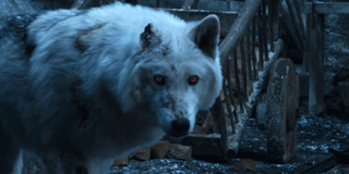 Game of Thrones Ghost HBO