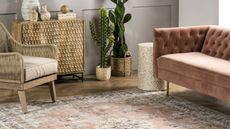 Walmart rugs washable pink traditional style in room with cactus 