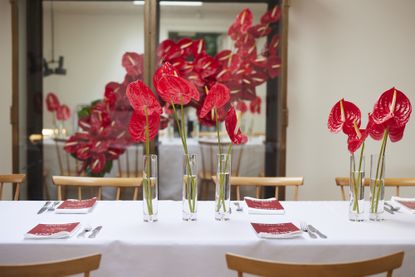 Anthurium flowers on table at Loewe cafe